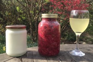Healthy gut - fermented foods