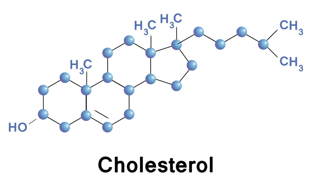 The great cholesterol myth - with Dr Jonny Bowden