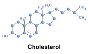 Cholesterol molecule