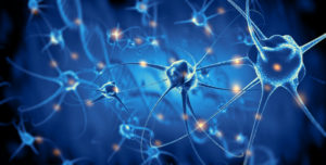 becoming more conscious - Neuron