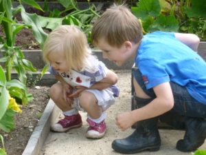 Children enjoying home education in vegetable garden