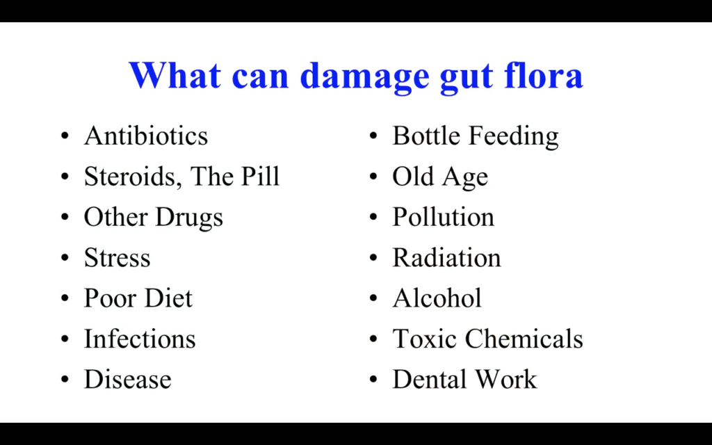 GAPS syndrome and the importance of gut health - with Dr Natasha